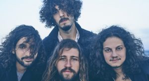 Selvagens à Procura de Lei