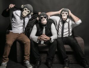 Crazy Monkeys